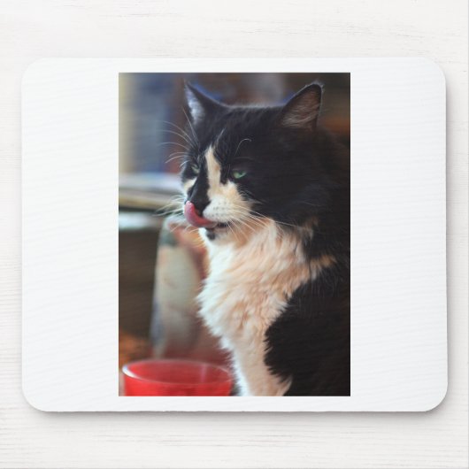 Chloe Licks Mousepad (Vorne)