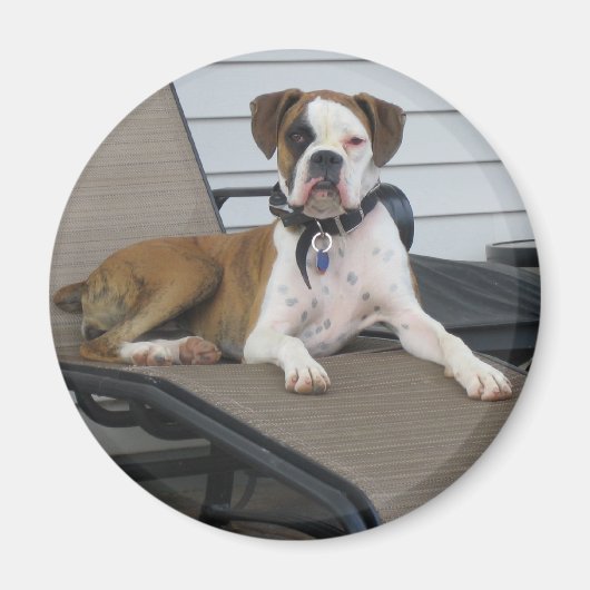 Chloe Magnet (Vorne)