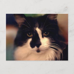Chloe Painting Postkarte