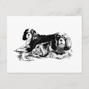 Chloe und Ollie Postkarte
