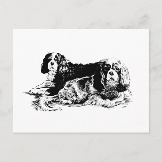 Chloe und Ollie Postkarte (Vorderseite)