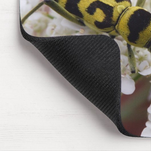 Chlorophorusvariante Mousepad (Ecke)