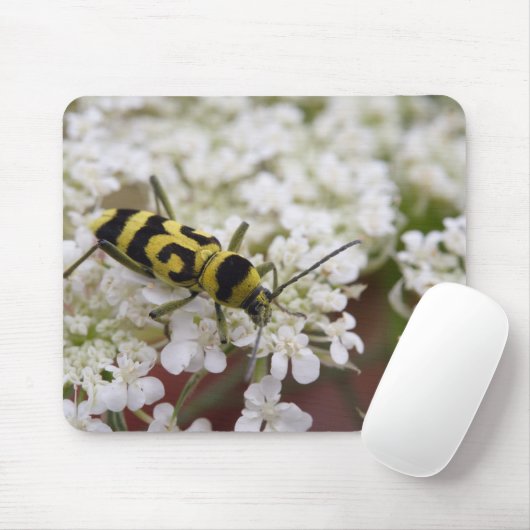 Chlorophorusvariante Mousepad (Mit Mouse)