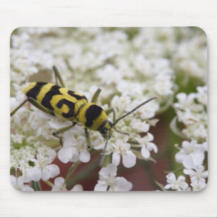 Chlorophorusvariante Mousepad
