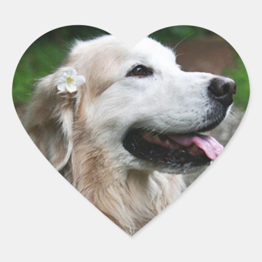 CHO CHO-Heftpapier für Aufkleber (Vorderseite)