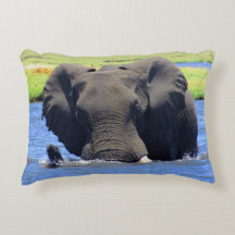 Chobe Elephant Throw Kissen