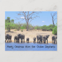 Chobe Elephants Haiku Holiday Post Card Feiertagspostkarte