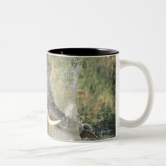 Chobe Fluss, Botswana, Afrika Zweifarbige Tasse (Rechts)