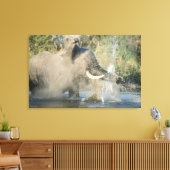 Chobe River, Botswana, Afrika Leinwanddruck (Insitu (Wohnzimmer))