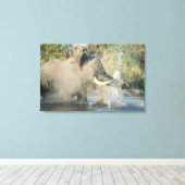 Chobe River, Botswana, Afrika Leinwanddruck (Insitu (Holzboden))