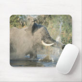 Chobe River, Botswana, Afrika Mousepad (Mit Mouse)
