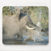 Chobe River, Botswana, Afrika Mousepad (Vorne)