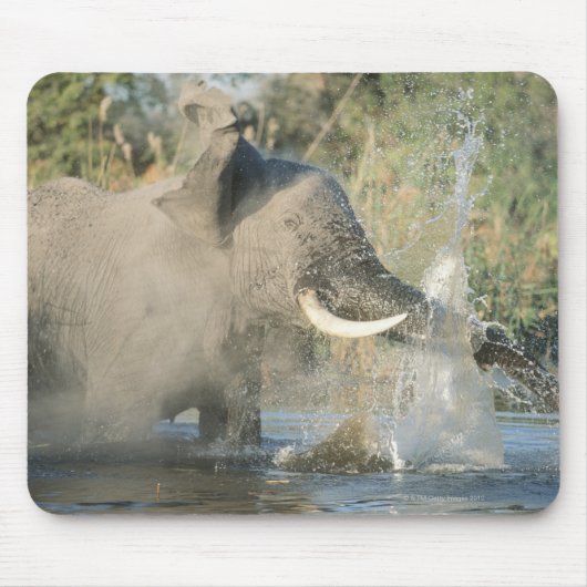Chobe River, Botswana, Afrika Mousepad (Vorne)