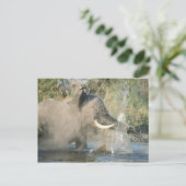 Chobe River, Botswana, Afrika Postkarte (Stehend Vorderseite)