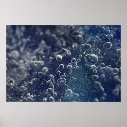 Choceradská Poster (Vorne)
