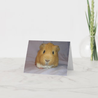 ChoCho Notecard Karte