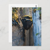 Chockstones im Maligne Canyon - Alberta, Kanada Postkarte (Vorne/Hinten)