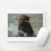 Chocloate Labrador Mousepad (Mit Mouse)
