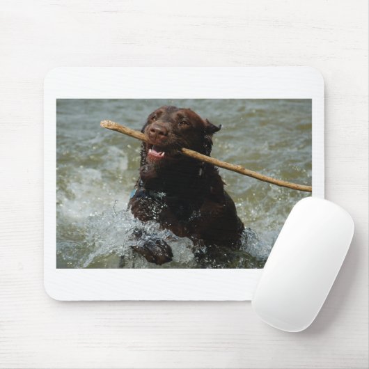 Chocloate Labrador Mousepad (Mit Mouse)