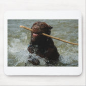 Chocloate Labrador Mousepad (Vorne)