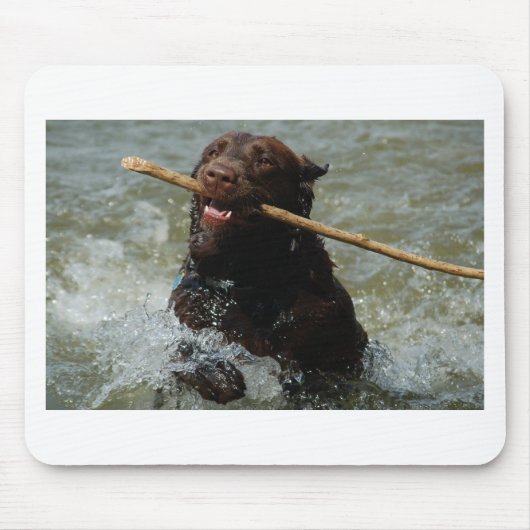 Chocloate Labrador Mousepad (Vorne)