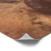 Chocolate Chip Cookie Poster (Ecke)