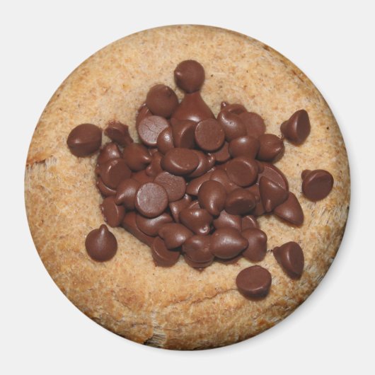 Chocolate Chip Kolache Magnet (Vorne)