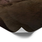 Chocolate Cocker Spanel Poster (Ecke)