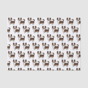 Chocolate Dreifarben Langhaar Chihuahua Hund Muste Seidenpapier