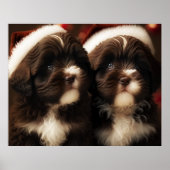 Chocolate HavaHug Havanese Christmas Puzzle Poster (Vorne)