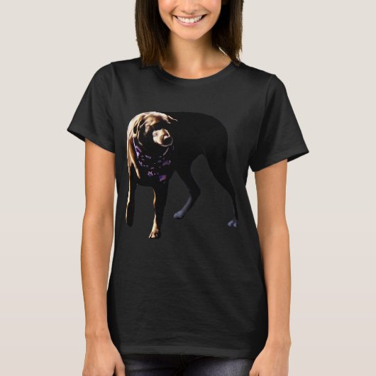 Chocolate Lab T-Shirt (Vorderseite)