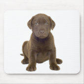Chocolate-Lab-Welpe Mousepad (Vorne)