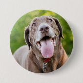 Chocolate Labrador Dog Button (Vorderseite)