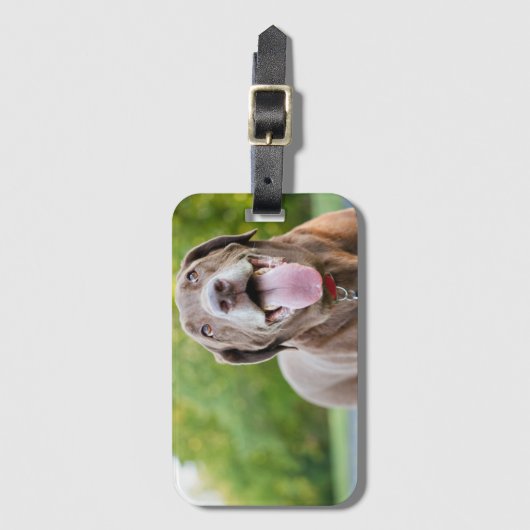 Chocolate Labrador Dog Gepäckanhänger (Vorderseite Vertikal)