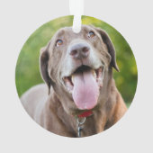 Chocolate Labrador Dog Ornament (Rückseite)