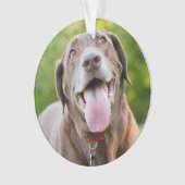 Chocolate Labrador Dog Ornament (Vorderseite)