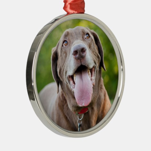 Chocolate Labrador Dog Ornament Aus Metall (Rechts)
