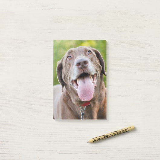Chocolate Labrador Dog Post-it Klebezettel (Auf Schreibtisch)