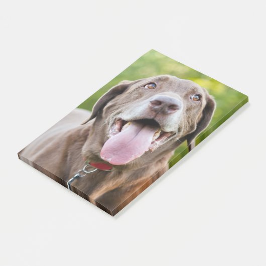 Chocolate Labrador Dog Post-it Klebezettel (angewinkelt)
