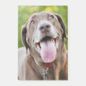 Chocolate Labrador Dog Post-it Klebezettel (Vorderseite)