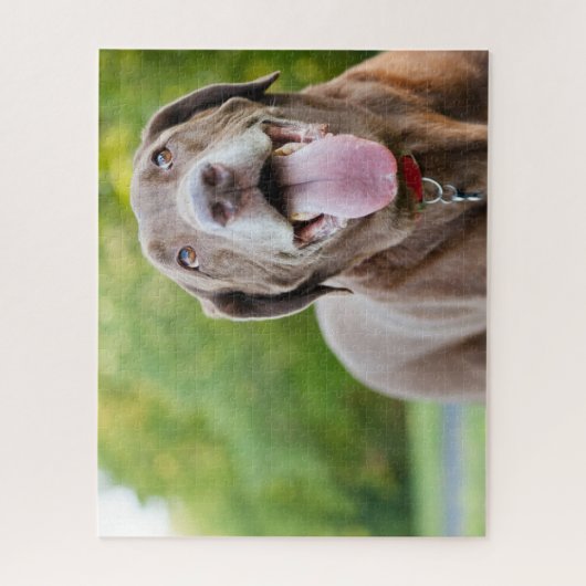 Chocolate Labrador Dog Puzzle (Vertikal)