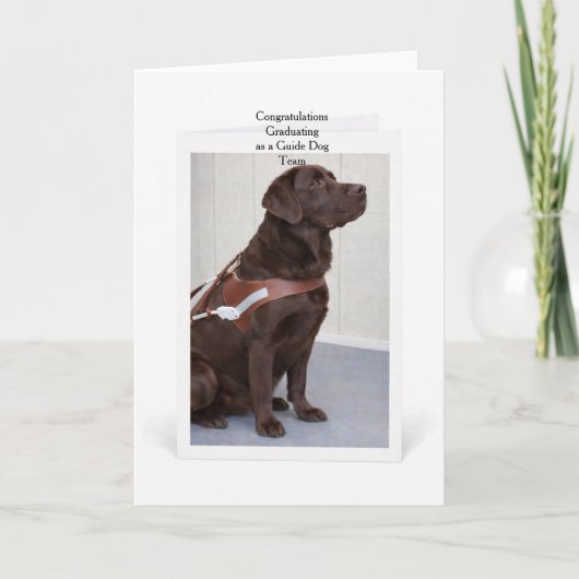 Chocolate-Labrador-Führhund-Abschluss Karte (Vorderseite)
