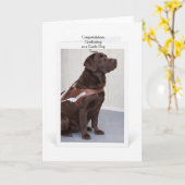 Chocolate-Labrador-Führhund-Abschluss Karte (Gelbe Blume)