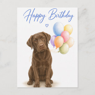 Chocolate-Labrador-Geburtstag Postkarte