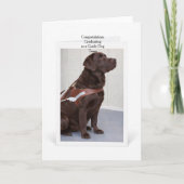 Chocolate Labrador Guide Dog Graduation Karte (Vorderseite)