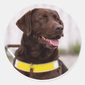 Chocolate Labrador Guide Dog Graduation  Runder Aufkleber (Vorderseite)