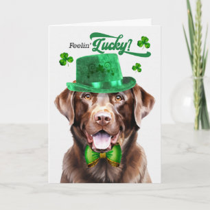 Chocolate-Labrador-Hund fühlt sich am St. Patrick' Feiertagskarte