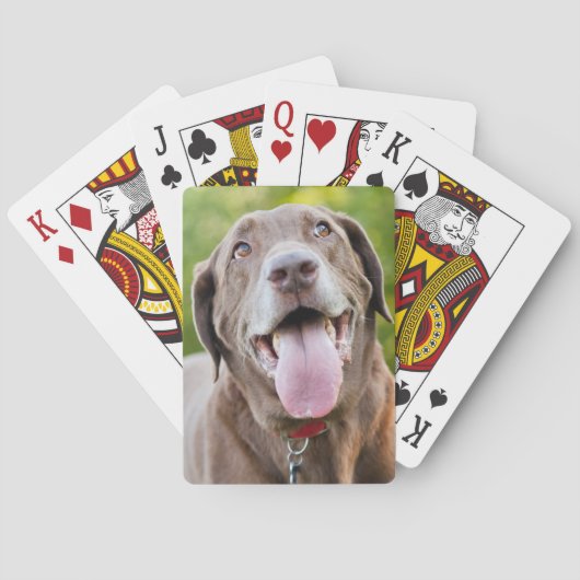 Chocolate Labrador Hund Spielkarten (Rückseite)