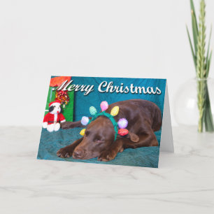 Chocolate-Labrador im Kostüm-Foto mit individuelle Feiertagskarte