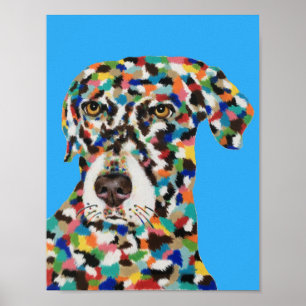 Chocolate Labrador Poster